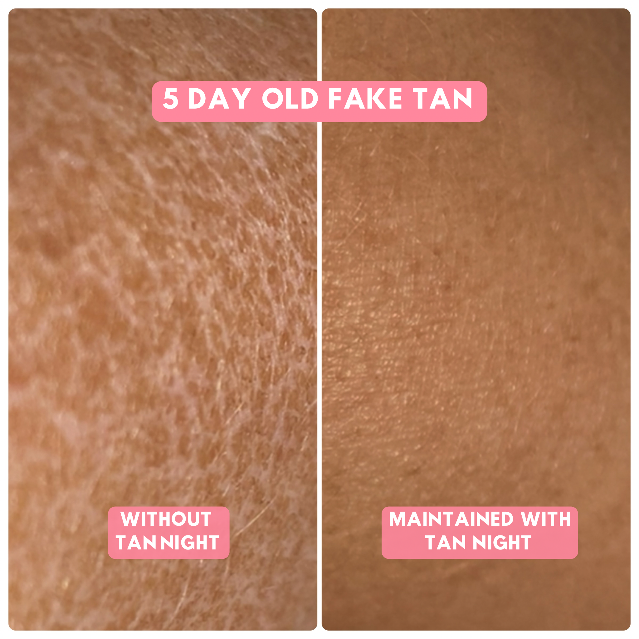 THE ANTI TIGER BREAD SKIN LOTION