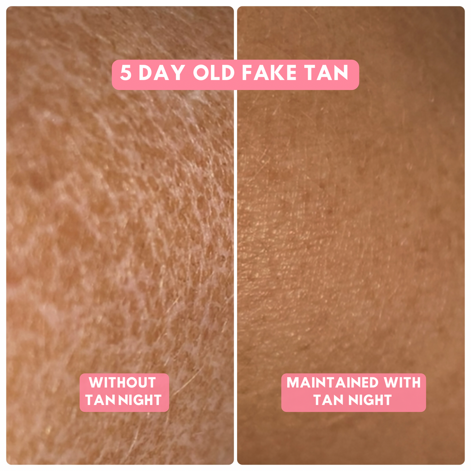 THE ANTI TIGER BREAD SKIN LOTION