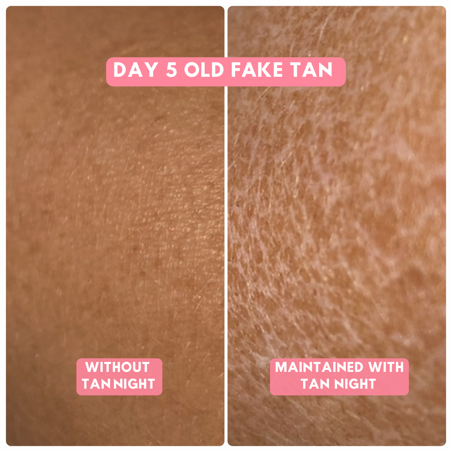 THE ANTI TIGER BREAD SKIN LOTION