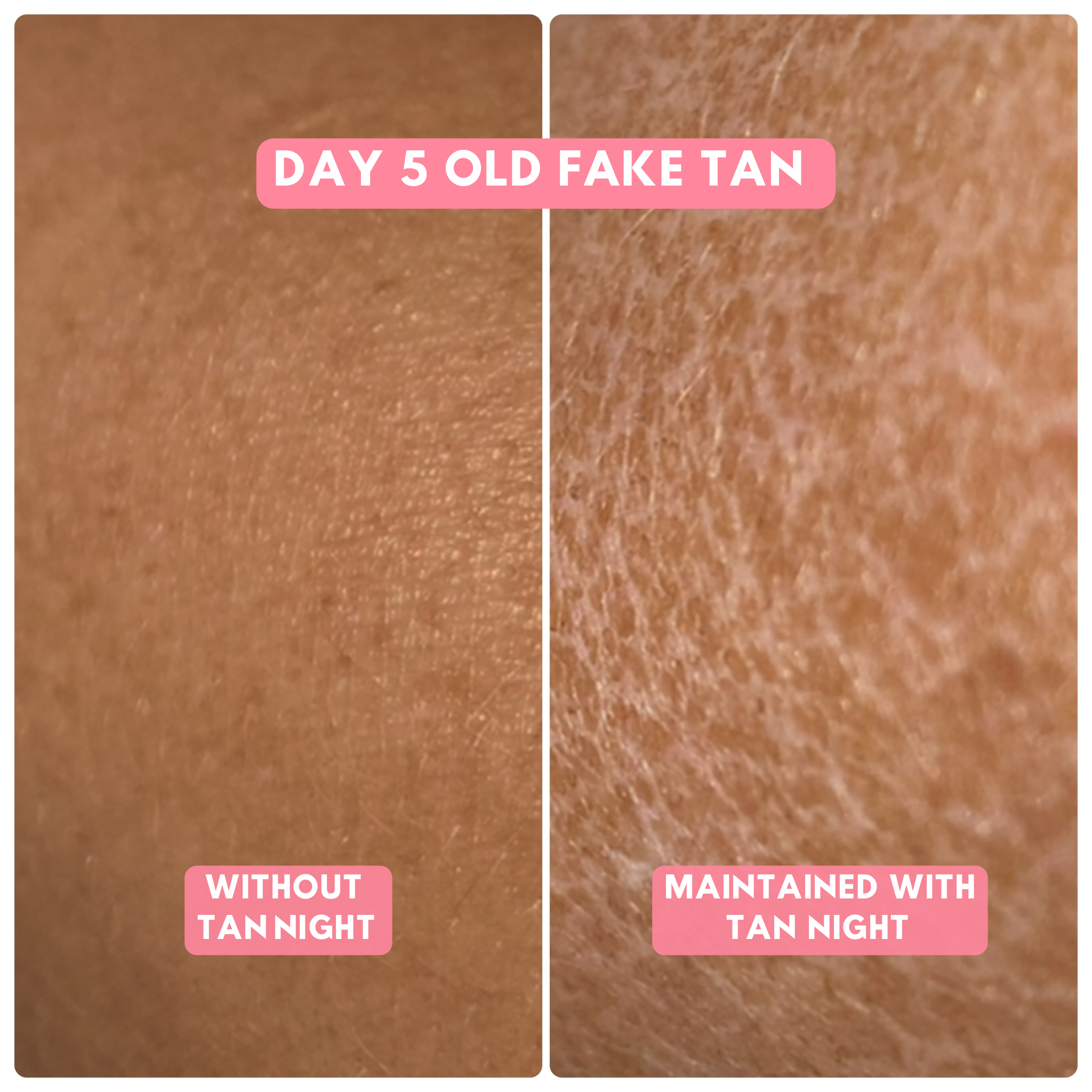 THE ANTI TIGER BREAD SKIN LOTION